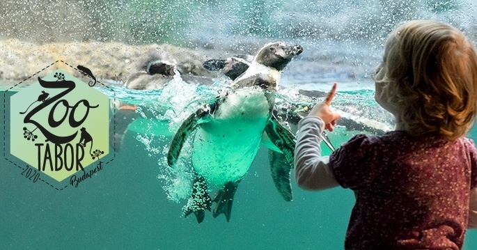 ZOO napközis tábor a budapesti Állatkertben 6-12 éves gyerekeknek