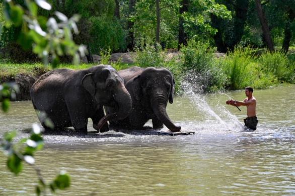 Richter Safari Park programok 2026 Nagykőrös