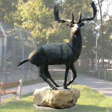 Kecskeméti Vadaspark programok 2026