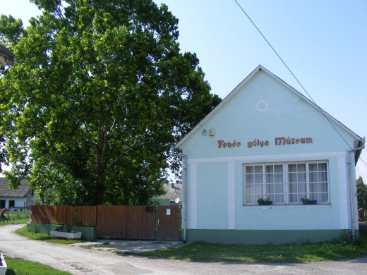 Fehér Gólya Múzeum programok, látogatás a kölkedi Fehér Gólya Múzeumban