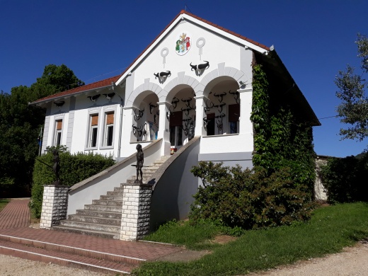 Afrika Múzeum és Állatkert programok Balatonederics 2026