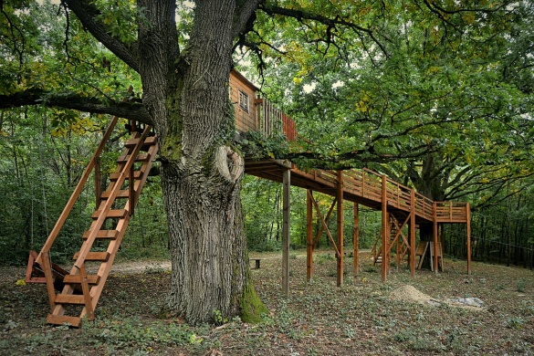 Madarak és Fák Napja Aggteleki Nemzeti Park 2026