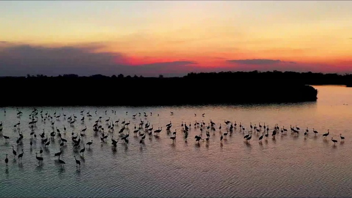 Hortobágyi Nemzeti Park programok 2026 - Események, rendezvények, fesztiválok