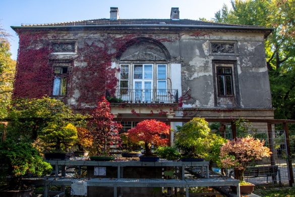 Füvészkert programok Budapest 2026 - Események az ELTE Füvészkertjében