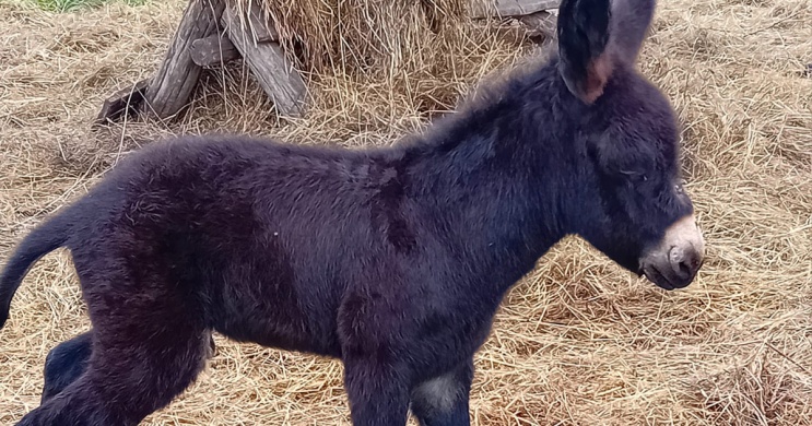 Gyenesdiás Természet Háza Látogatóközpont programok 2026