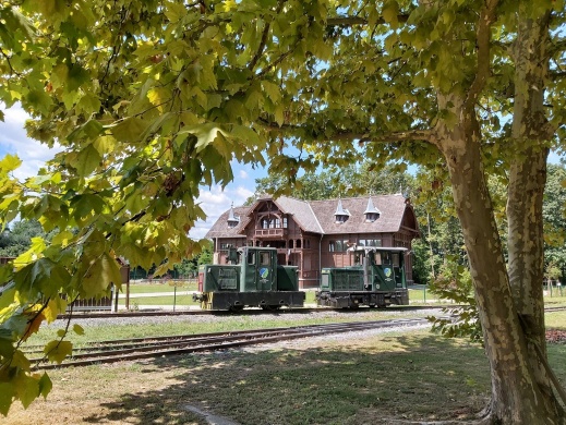 Gemenci programok 2026