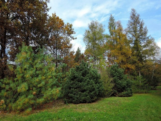 Kecskeméti Arborétum programok 2026 - Események, rendezvények