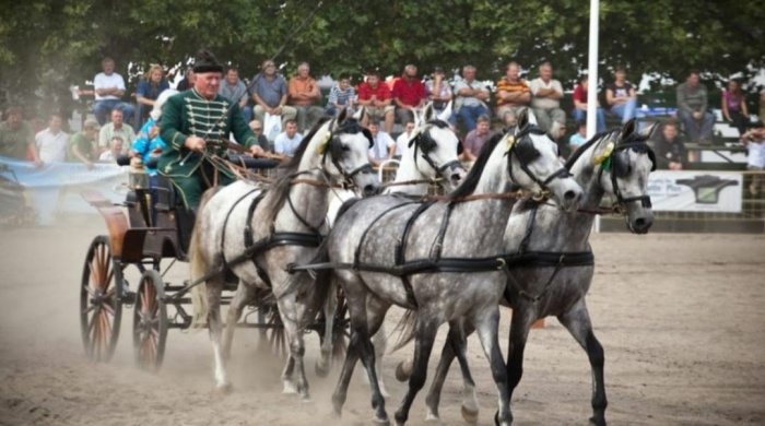 Gazdanap és Fogathajtó Verseny 2025 Csorvás