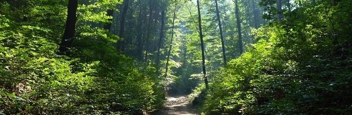 Vértes Meteor Természetbarát Sport Egyesület programok 2026