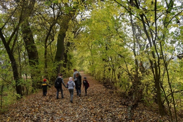 Kontyvirág tanösvény Lakitelek, ökotúra a Duna-Tisza-közén, a Kiskunsági Nemzeti Parkban