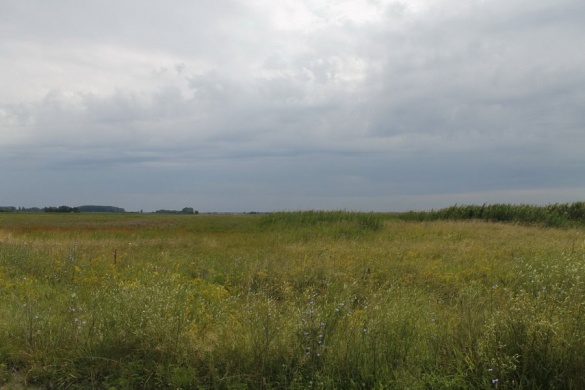 Pimpó tanösvény Orgovány, ökotúra a Kiskunsági Nemzeti Parkban, az Orgoványi réteken