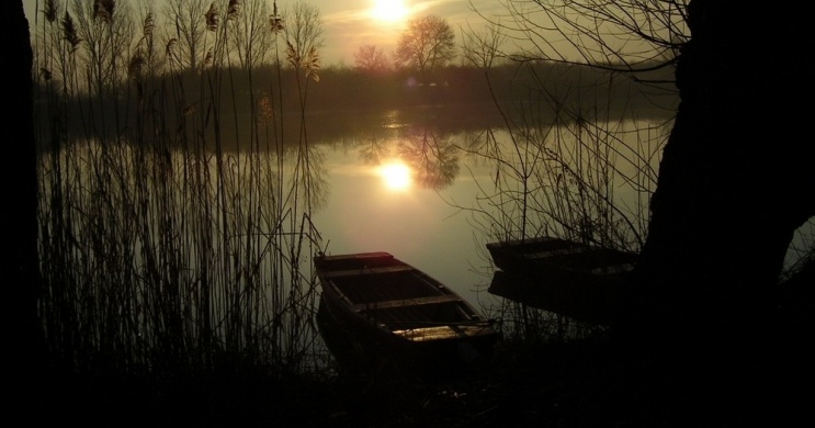 Napkelte túra 2026 - Tisza-tavi csónaktúra túravezetővel a Szabics Kikötőben