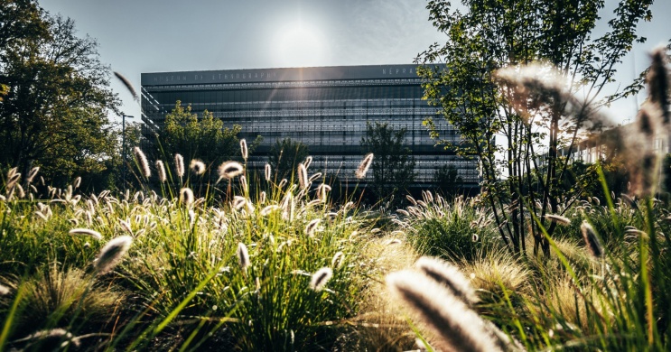 Épületséta a Néprajzi Múzeumban Budapesten 2026 - Épület és múzeumi funkciók - séta