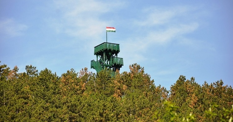 Balatoni természetjárás, gyalogtúrák, útvonal tippek Gyenesdiásról