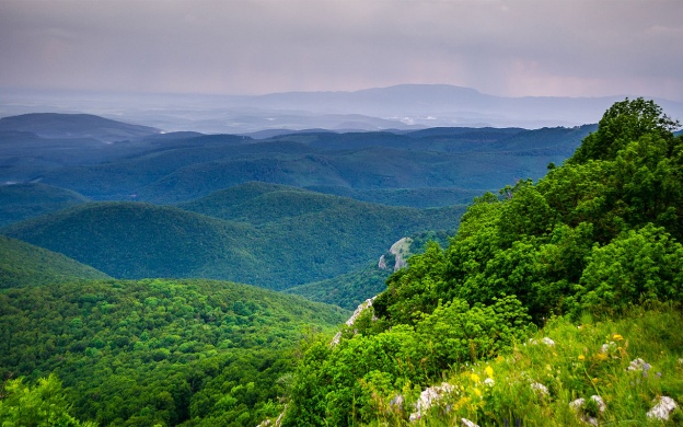 Bükki túrák. Túranaptár a természet kedvelőinek