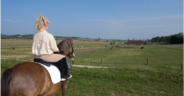 Lovas wellness hétvége, vidéki üdülés Móron a Hétkúti Wellness Hotel és Lovasparkban