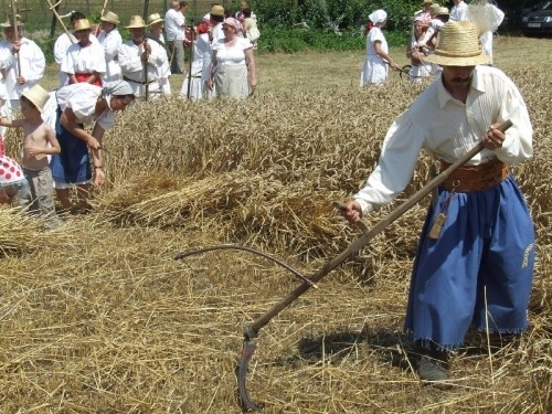 Aratónap Mohács 2026 - Hagyomány, ünnep, szórakozás