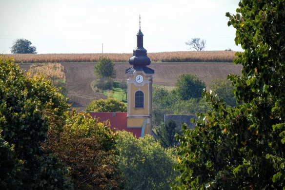 Falunap Palotabozsokon 