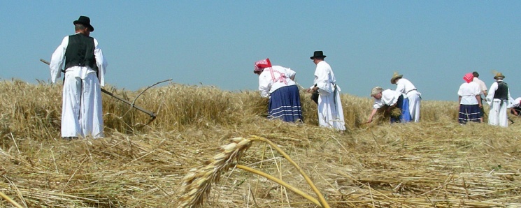 Aratónap Jászapáti 2025