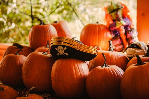 Halloween a Piczinke Póniudvarban 2025 Budapest