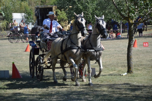 Fogathajtó Verseny Fegyvernek 2025