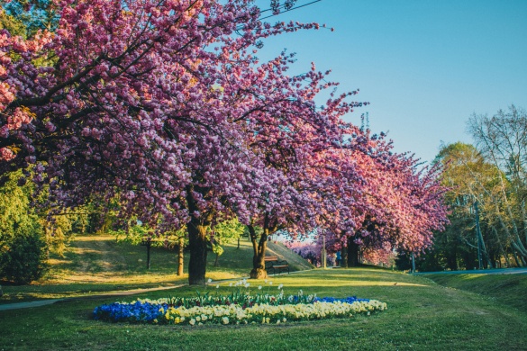 Város Napjai Zalakaros 2026