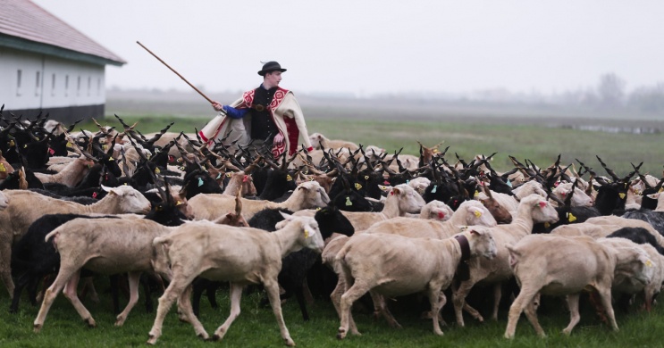 Szent György-napi Kihajtási Ünnep Hortobágy 2026