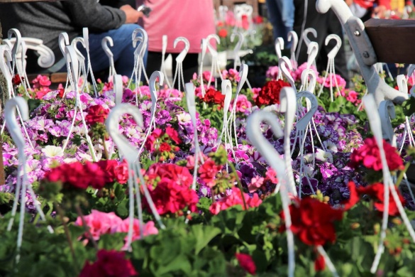 Virágvásár programok 2026 - Események, rendezvények