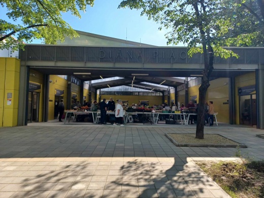 Diana Téri Piac Pécs 2026