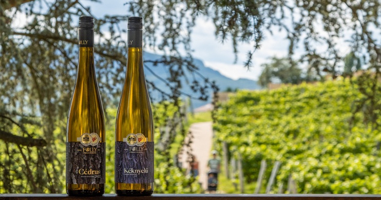 Európa legnagyobb borászati versenyén nyert aranyérmet a Folly