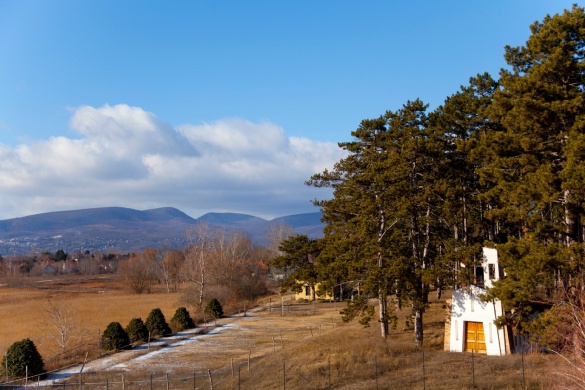 A Golden Palace Göd nyugdíjas otthon különleges mindennapjai