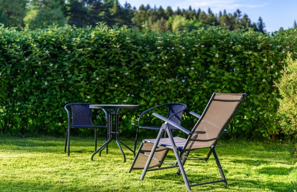 Így gondozzuk a sövényfalat, hogy csodás kerítés nőhessen belőle