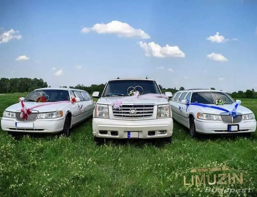 Nehéz időszakon vannak túl a limuzinos cégek, de már éledezik a piac