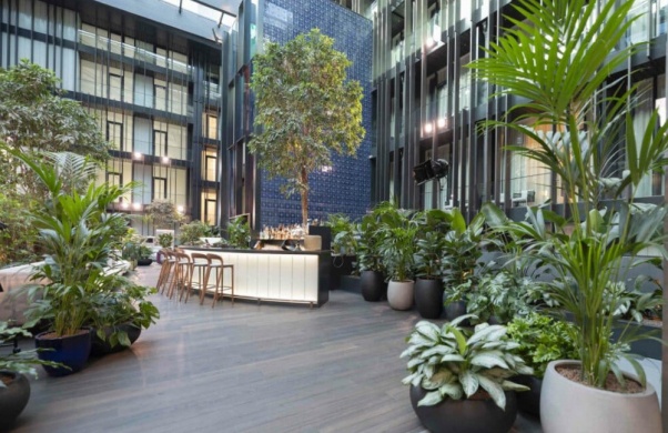 A kaspók egyedi öntözési megoldásokat kínálnak!