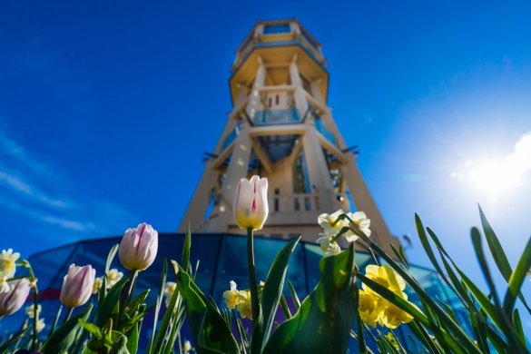 Siófok idén tavasszal is ezernyi élménnyel vár!