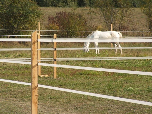 A villanypásztor kiválasztásának fontossága és szempontjai