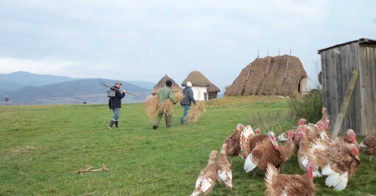 Kacár Tanya Szokolya