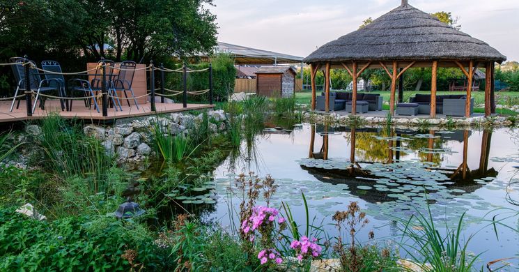 Vérteslovas Birtok Vértesboglár