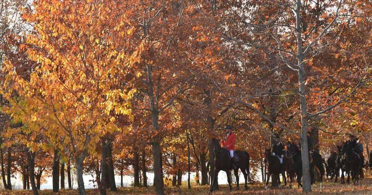 Betyár Lovastanya Sárospatak