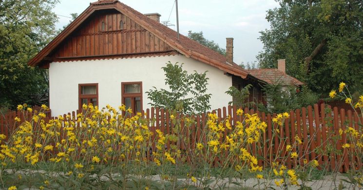 Eszter Tanya Csorvás