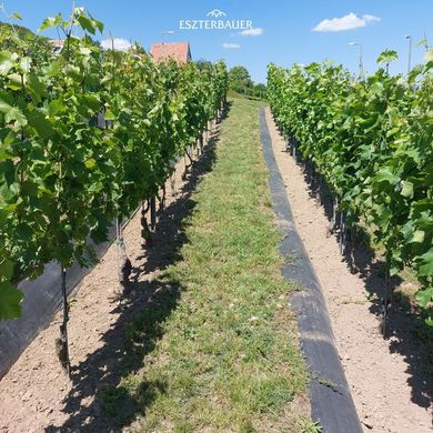 Eszterbauer Borászat