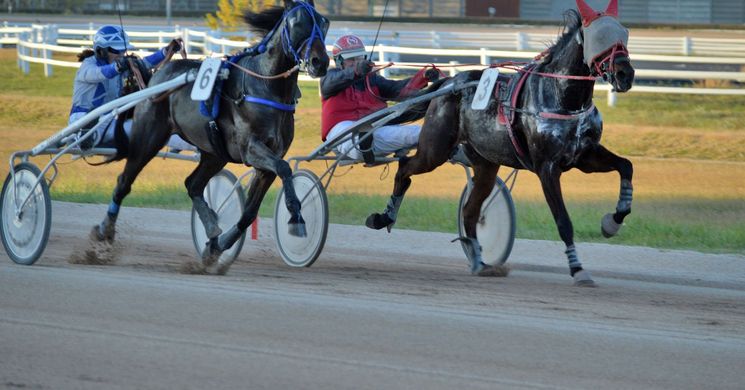 Kincsem Park Budapest