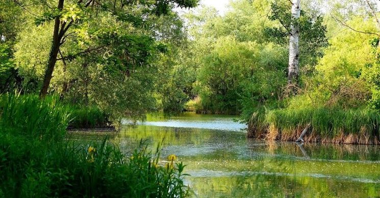 Malom-tó Rendezvényhelyszín & Szabadidő Központ Pápa