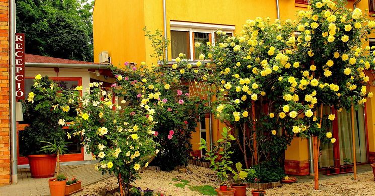 Centrum Apartmanhotel Pécs