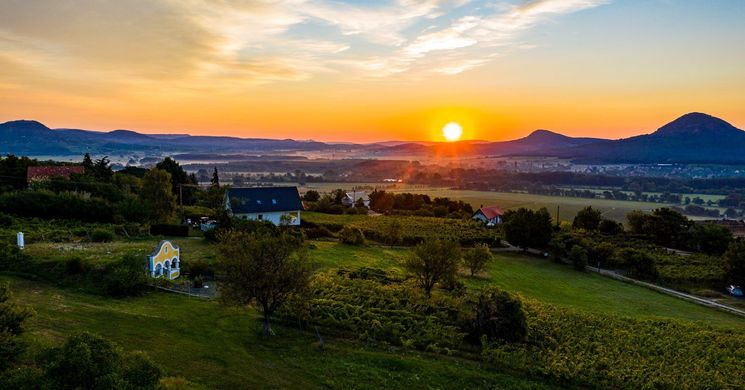 Killer Pince Kisapáti