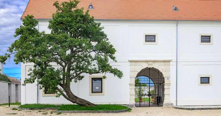 Peisonia Látogatóközpont Fertőszéplak