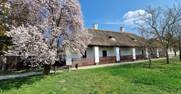 Jaksa János Helytörténeti Gyűjtemény-Falumúzeum Szegvár