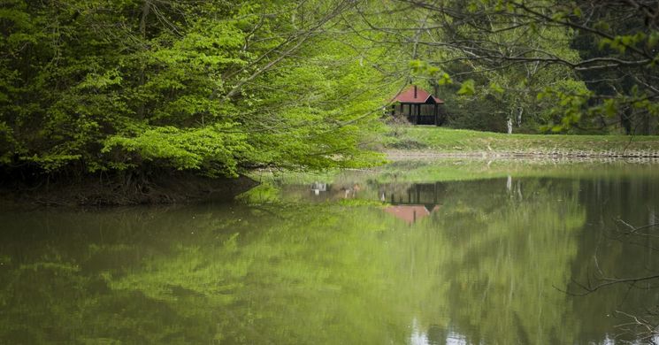 Budafai Arborétum Bázakerettye