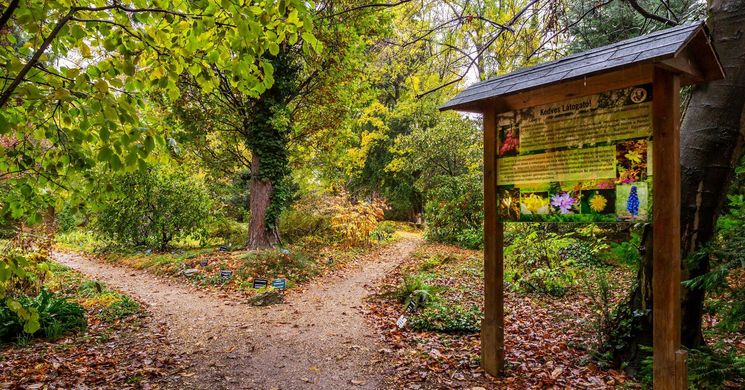 Chernel-kert arborétum Kőszeg