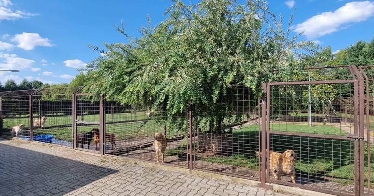 EBLAND Kutyapanzió Győrújbarát